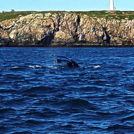 a large body of water with a mountain in the background