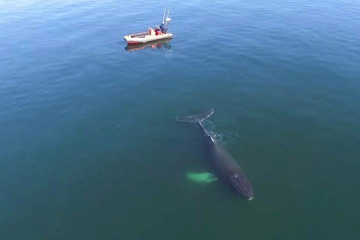 a boat that is floating in the water