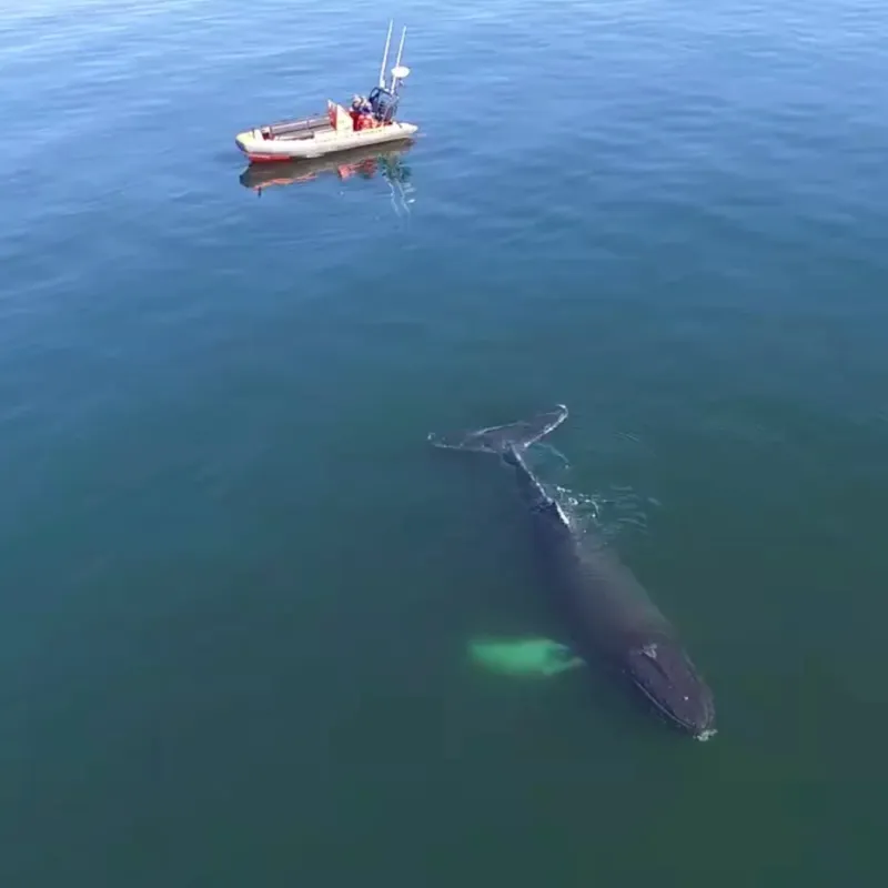 a boat that is floating in the water